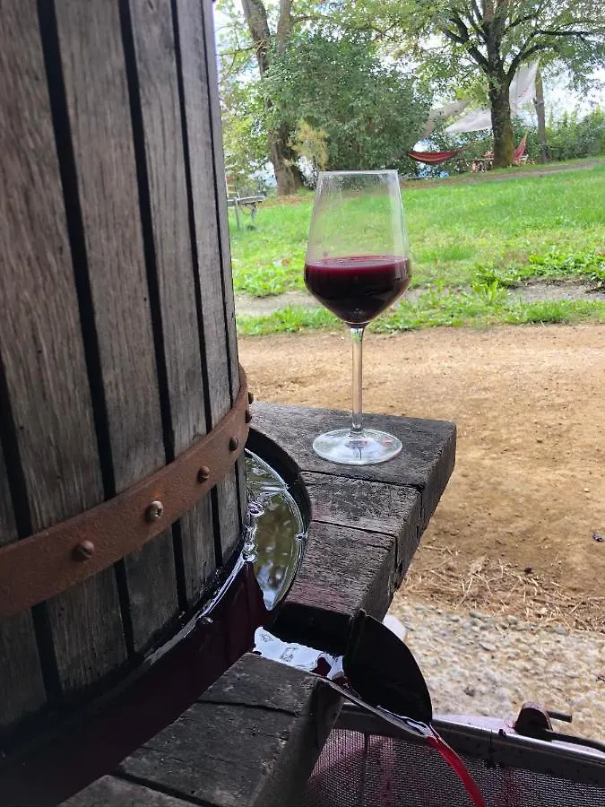 Gite Les Vignes De Pich Apartment Martisserre France