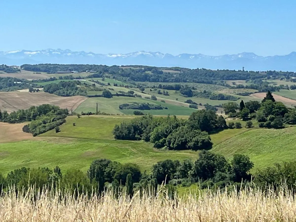 Gite Les Vignes De Pich Apartment Martisserre