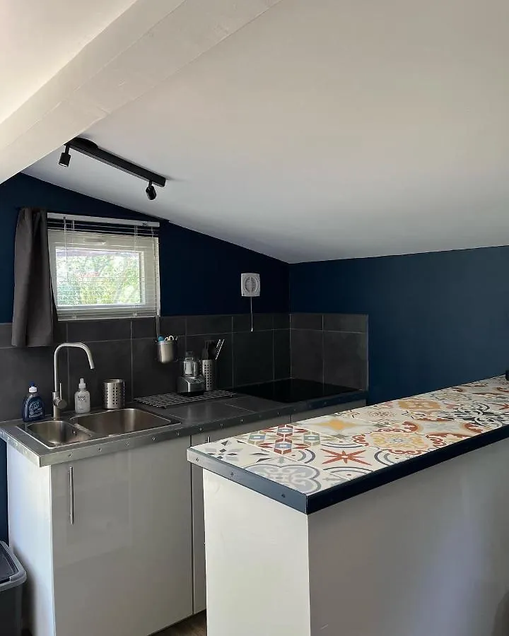 Gite Les Vignes De Pich Apartment Martisserre