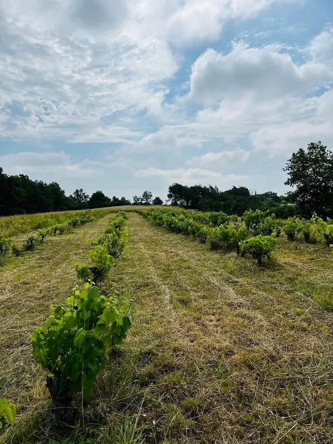 Gite Les Vignes De Pich Apartment Martisserre